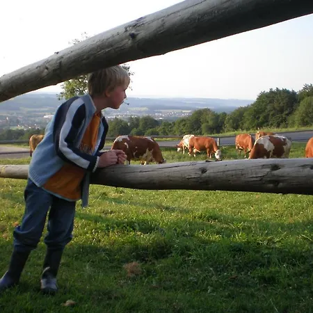 Vakantieboerderij Wiesenbauer - Schlogl Anton Grafendorf bei Hartberg