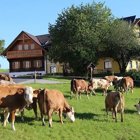 Vakantieboerderij Wiesenbauer - Schlogl Anton Grafendorf bei Hartberg