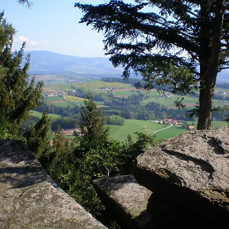 Vakantieboerderij Wiesenbauer - Schlogl Anton